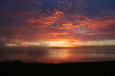 Enlarge photo 249