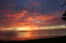 Enlarge photo 250