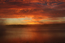 Enlarge photo 251