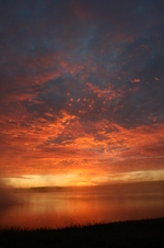 Enlarge photo 252