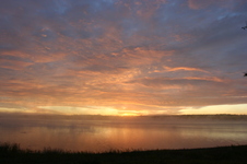 Enlarge photo 253