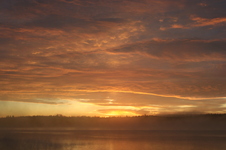 Enlarge photo 254