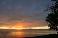 Enlarge photo 255