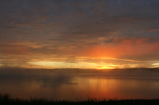 Enlarge photo 256