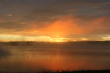 Enlarge photo 257