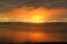 Enlarge photo 258
