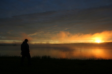 Enlarge photo 259