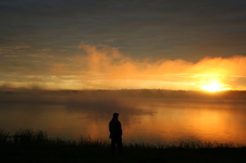 Enlarge photo 260