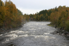 Enlarge photo 261