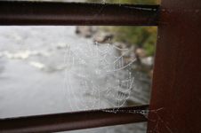 Enlarge photo 266