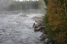 Enlarge photo 271