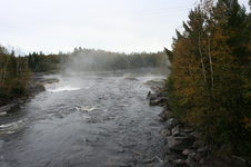 Enlarge photo 272