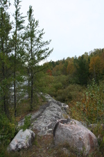 Enlarge photo 273