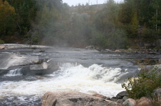 Enlarge photo 275