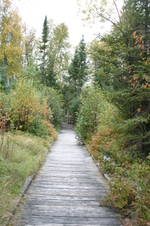 Enlarge photo 277