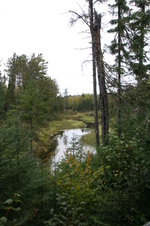 Enlarge photo 280