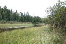 Enlarge photo 281