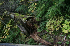 Enlarge photo 282