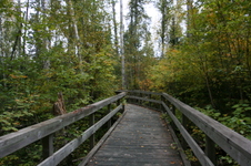 Enlarge photo 285