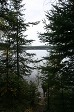 Enlarge photo 287