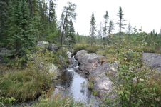 Enlarge photo 293