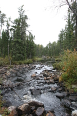 Enlarge photo 294