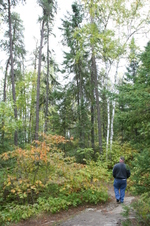 Enlarge photo 298