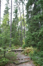 Enlarge photo 299