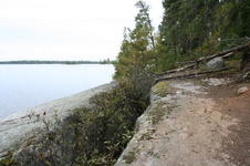 Enlarge photo 301