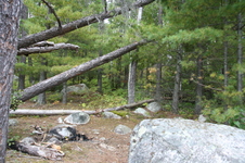 Enlarge photo 302