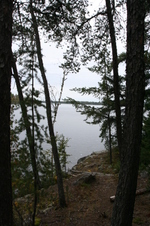 Enlarge photo 304