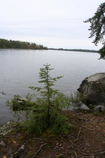 Enlarge photo 306