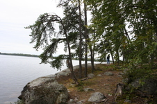 Enlarge photo 307