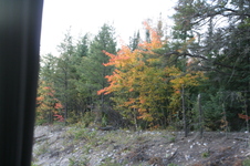 Enlarge photo 309