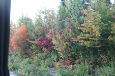 Enlarge photo 310