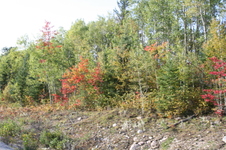Enlarge photo 311