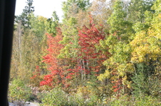 Enlarge photo 312