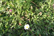 Enlarge photo 315