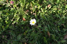 Enlarge photo 316