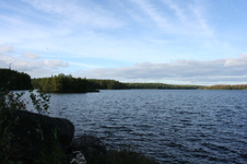 Enlarge photo 317
