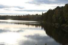 Enlarge photo 320