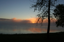 Enlarge photo 375