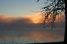 Enlarge photo 376