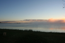 Enlarge photo 378
