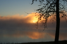 Enlarge photo 379