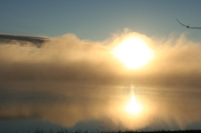 Enlarge photo 380
