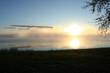 Enlarge photo 381