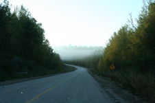 Enlarge photo 384