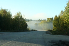 Enlarge photo 385