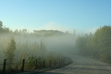 Enlarge photo 386